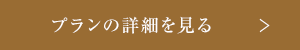 プラン詳細を見る