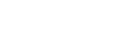 Party Plan