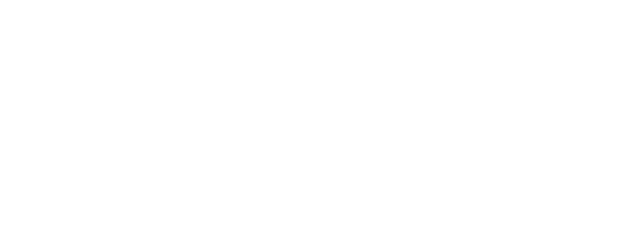 Party Plan